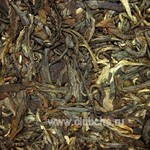 МК Шэн Чан Цзы Хао '11