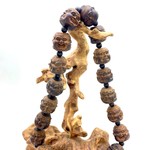 Четки цзы тан архаты 19 бусин 25 мм