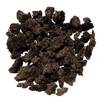 МК Шу Лао Мань Э Тоу '22