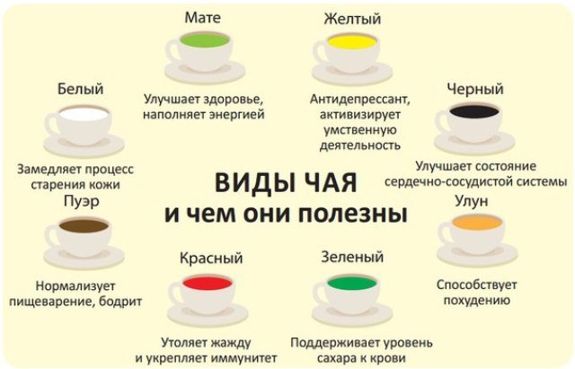 Разные виды чая и их польза